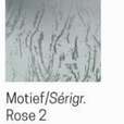 Novellini Draaideur -Wit-72 tot 78 cm Breed-Motief Rose 2